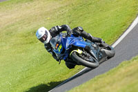 cadwell-no-limits-trackday;cadwell-park;cadwell-park-photographs;cadwell-trackday-photographs;enduro-digital-images;event-digital-images;eventdigitalimages;no-limits-trackdays;peter-wileman-photography;racing-digital-images;trackday-digital-images;trackday-photos
